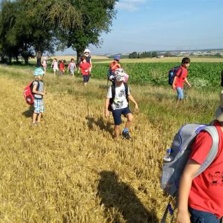 Sommerausflug Ziegeleipark 2017