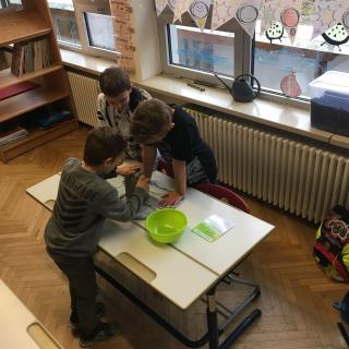 Stärkenachweis