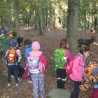 Ausflug in das Wildparadies Stromberg